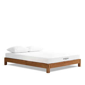 ModwayModway Aveline 6" Queen Mattress MOD-5346 MOD-5346-WHI- BetterPatio.com