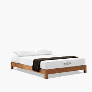 ModwayModway Aveline 8" Queen Mattress MOD-5343 MOD-5343-WHI- BetterPatio.com