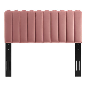 ModwayModway Delilah Performance Velvet Twin Headboard MOD-6317 MOD-6317-DUS- BetterPatio.com