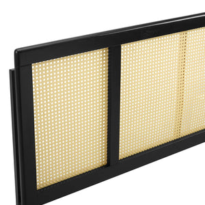 ModwayModway Delmare Cane Full Headboard MOD-6200 MOD-6200-BLK- BetterPatio.com