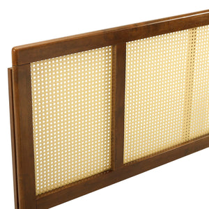 ModwayModway Delmare Cane Full Headboard MOD-6200 MOD-6200-WAL- BetterPatio.com