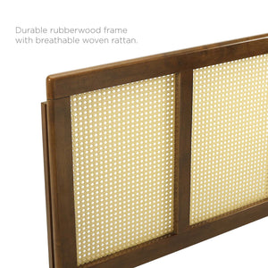 ModwayModway Delmare Cane Full Headboard MOD-6200 MOD-6200-WAL- BetterPatio.com