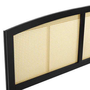 ModwayModway Halcyon Cane Full Headboard MOD-6203 MOD-6203-BLK- BetterPatio.com