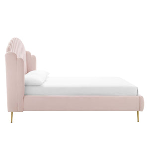 ModwayModway Lana Queen Performance Velvet Wingback Platform Bed MOD-6282 MOD-6282-PNK- BetterPatio.com