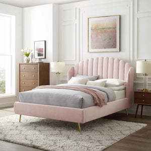 ModwayModway Lana Queen Performance Velvet Wingback Platform Bed MOD-6282 MOD-6282-PNK- BetterPatio.com