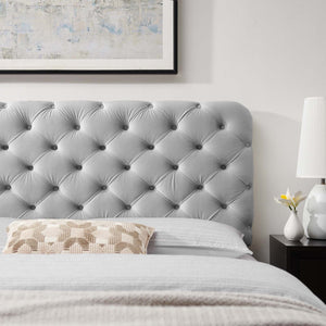 ModwayModway Lizzy Tufted Twin Performance Velvet Headboard MOD-6030 MOD-6030-LGR- BetterPatio.com