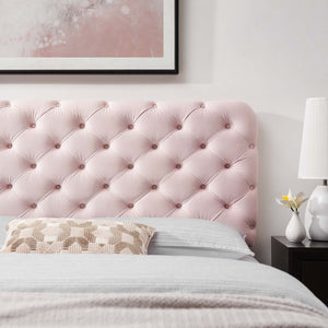 ModwayModway Lizzy Tufted Twin Performance Velvet Headboard MOD-6030 MOD-6030-PNK- BetterPatio.com