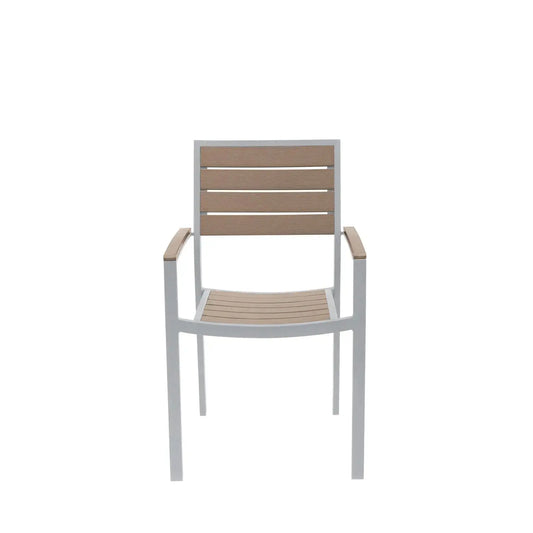 Source Napa Dining Arm Chair Silver Frame SC-2405-163-SLV - BetterPatio.com